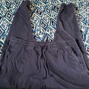 J Crew Navy Blue Jogger Pants